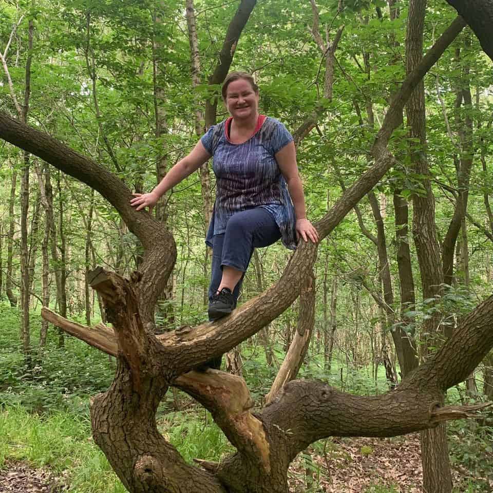 Fresh air = Fresh Mind Rush House